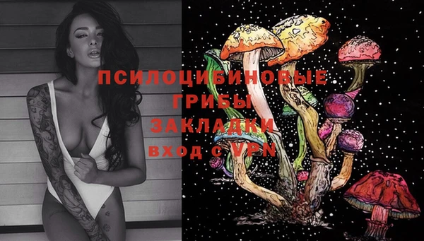 винт Гусиноозёрск