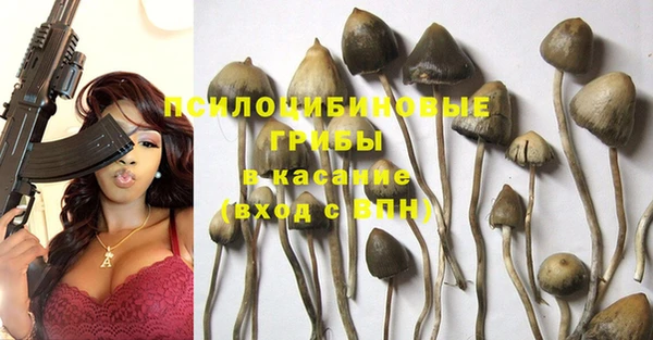 винт Гусиноозёрск