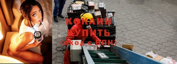винт Гусиноозёрск