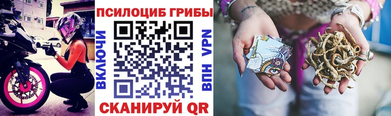 Псилоцибиновые грибы мицелий  Купить закладки  Железногорск 